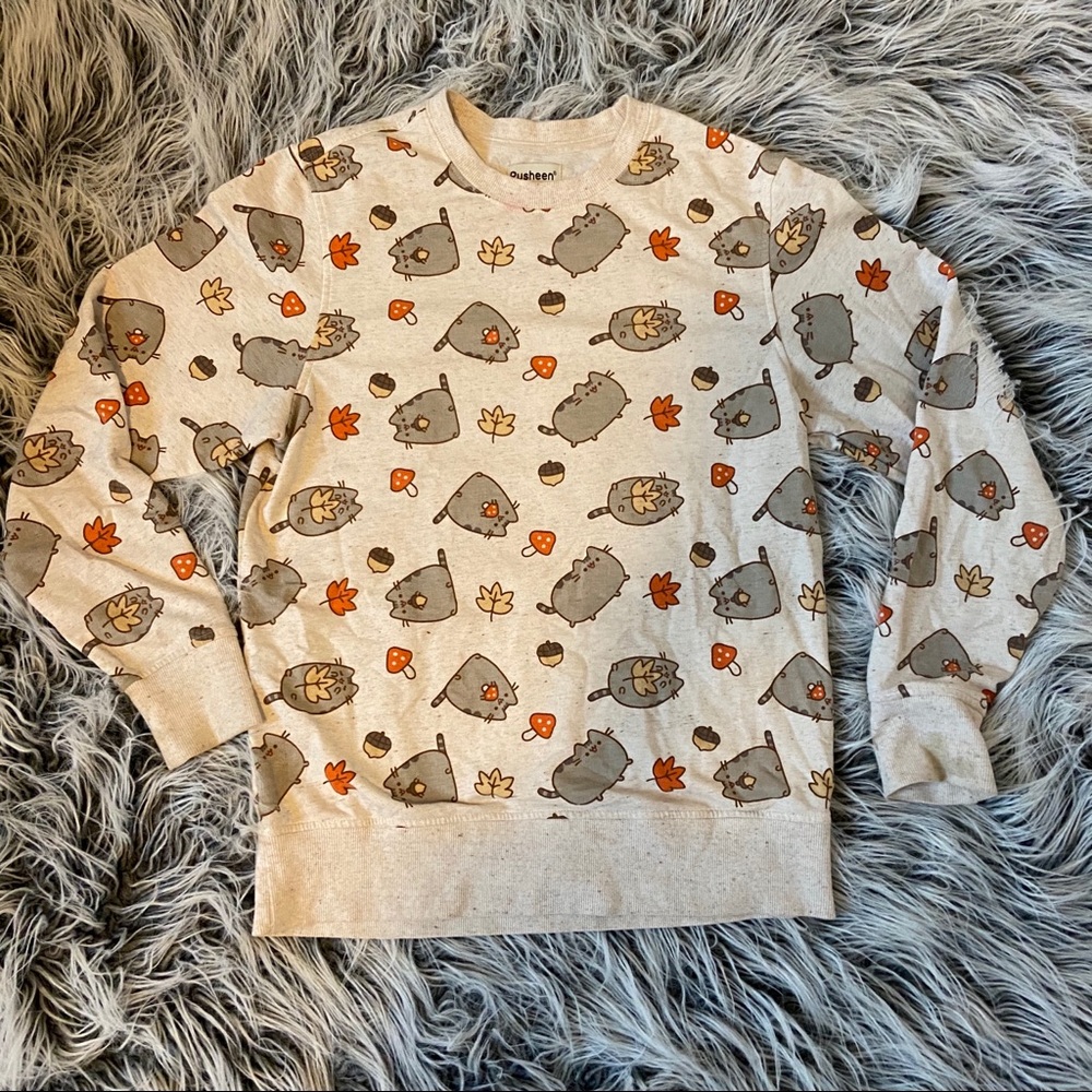 ✨Limited edition✨ Pusheen box sweater, harvest! 🍂